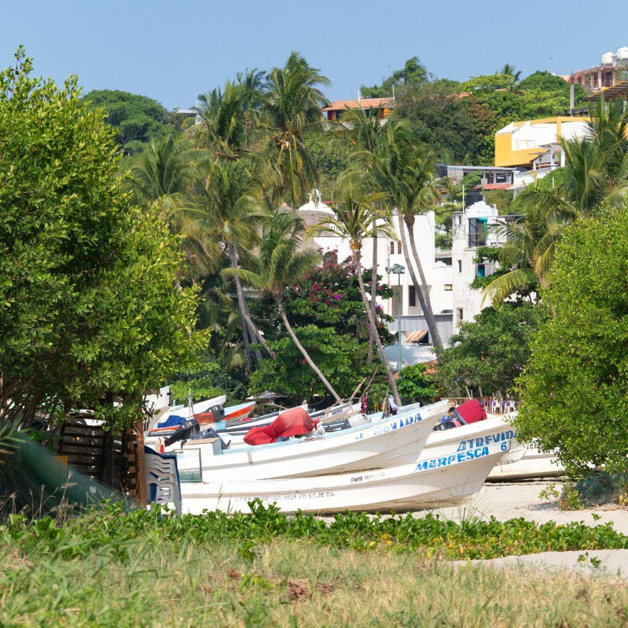 Nomad Beach House Hotel Puerto Escondido  Eksteriør billede